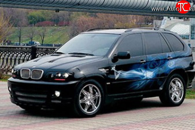 4 899 р. Комплект противотуманных фар в передний бампер Тарантул на BMW X5 E53 дорестайлинг (1999-2003)  с доставкой в г. Керчь