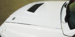 6 349 р. Пластиковый капот Evo Лада 2115 (1997-2012) (Неокрашенный)  с доставкой в г. Керчь. Увеличить фотографию 4