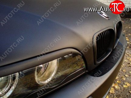 1 249 р. Реснички (нижние) на фары HAMANN BMW 5 серия E39 седан дорестайлинг (1995-2000) (Неокрашенные)  с доставкой в г. Керчь