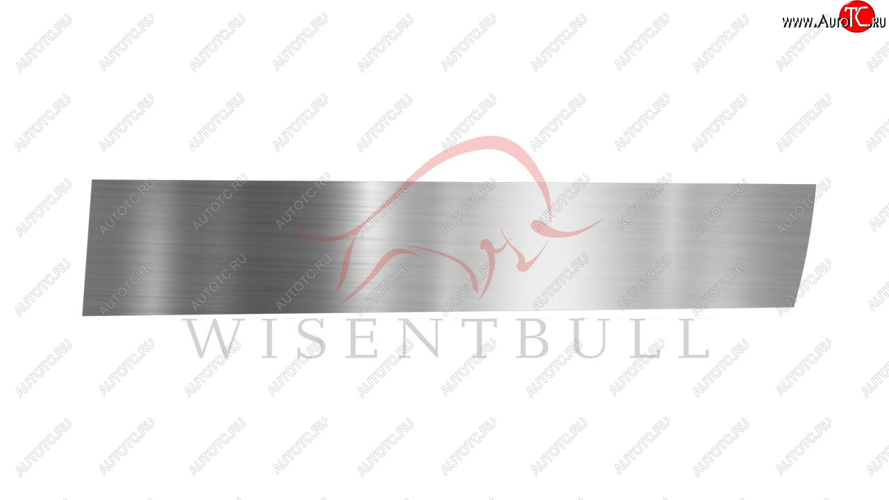 1 989 р. Ремкомплект правой двери Wisentbull BMW 5 серия E39 седан дорестайлинг (1995-2000)  с доставкой в г. Керчь