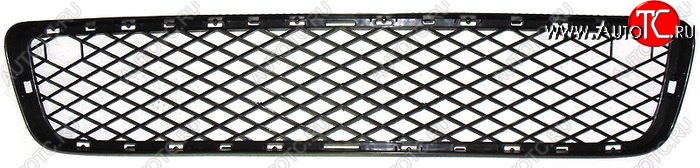 2 379 р. Решетка в передний бампер SAT BMW X5 E70 дорестайлинг (2006-2010) (Нижняя)  с доставкой в г. Керчь
