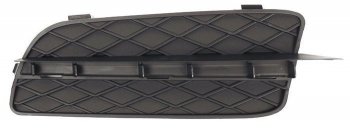 Решётка в передний бампер SAT BMW X5  E70 (2006-2010) дорестайлинг