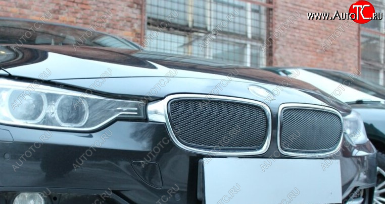 5 399 р. Защитная сетка решетки радиатора Стрелка 11 Премиум (алюминий) BMW 3 серия F31 универсал дорестайлинг (2012-2015) (Цвет: черный)  с доставкой в г. Керчь
