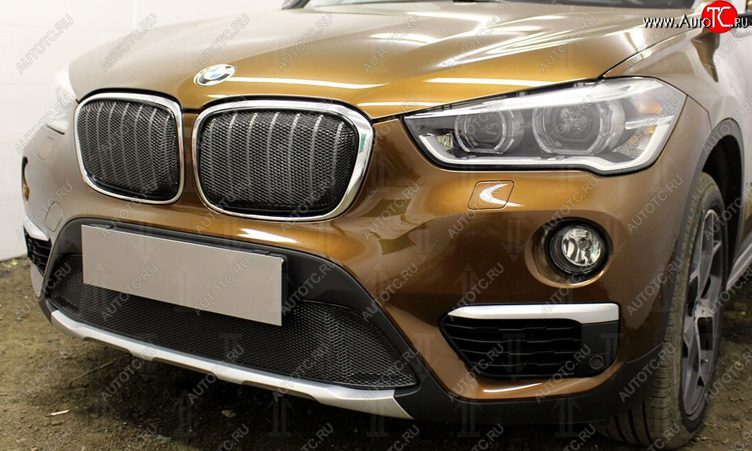 5 399 р. Защитная сетка радиатора в бампер Стрелка 11 Премиум (алюминий) BMW X1 F48 дорестайлинг (2015-2019) (Цвет: черный)  с доставкой в г. Керчь