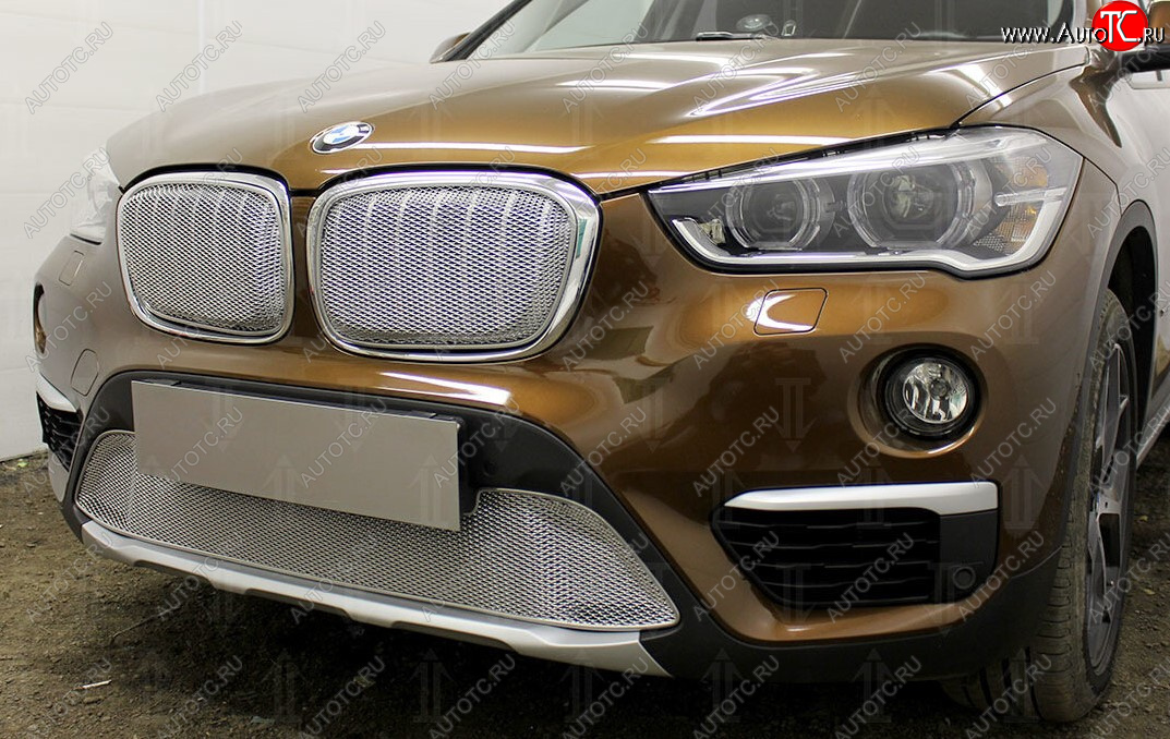 5 849 р. Защитная сетка радиатора в бампер Стрелка 11 Премиум (алюминий)  BMW X1  F48 (2015-2019) дорестайлинг (Цвет: хром)  с доставкой в г. Керчь