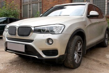 6 749 р. Защитная сетка решетки радиатора Стрелка 11 Премиум (алюминий)  BMW X3  F25 (2014-2017) рестайлинг (Цвет: черный)  с доставкой в г. Керчь. Увеличить фотографию 2