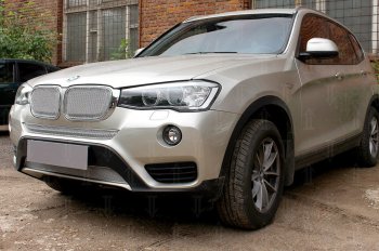 Защитная сетка решетки радиатора Стрелка 11 Премиум (алюминий) BMW X3  F25 (2014-2017) рестайлинг (Цвет: хром)