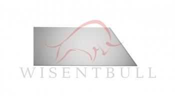 Правая задняя ремонтная арка (внешняя) Wisentbull Chery Amulet (Corda) A15 лифтбэк (2003-2010)