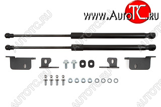 2 899 р. Комплект упоров капота CHEVROLET Ravon Nexia R3 (2016-2020)  с доставкой в г. Керчь