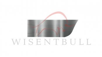 Ремкомплект правой двери Wisentbull Chevrolet Aveo  T200 (2003-2008), Chevrolet Kalos (2002-2008), Pontiac Wave  T200 (2004-2006)