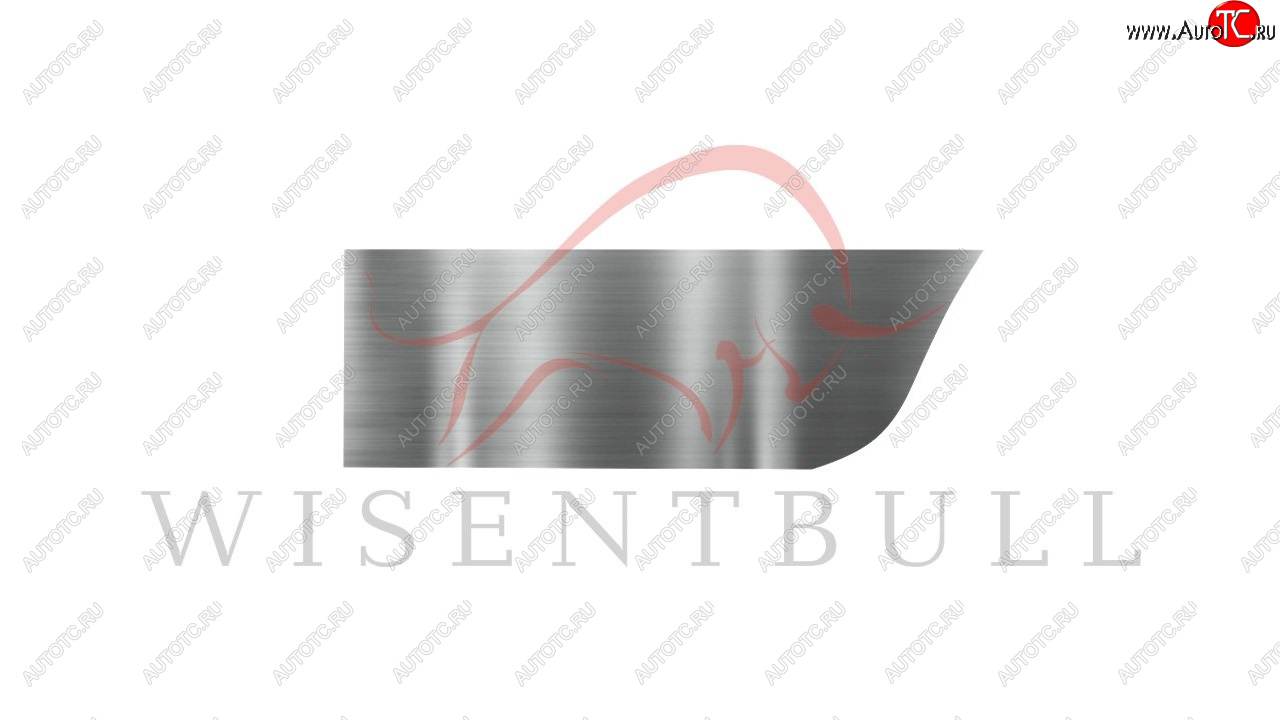 1 989 р. Ремкомплект правой двери Wisentbull  Chevrolet Aveo  T200 (2003-2008), Chevrolet Kalos (2002-2008), Pontiac Wave  T200 (2004-2006)  с доставкой в г. Керчь