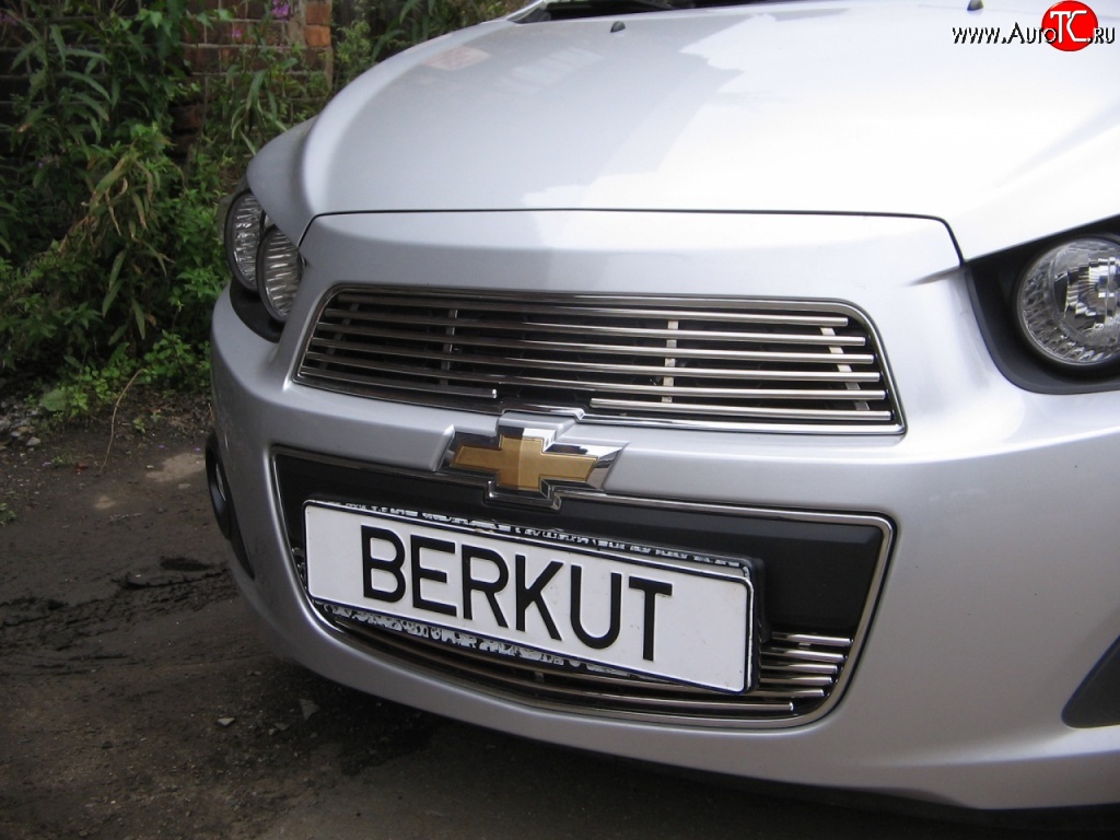 4 399 р. Декоративная вставка решетки радиатора Berkut Chevrolet Aveo T300 седан (2011-2015)  с доставкой в г. Керчь