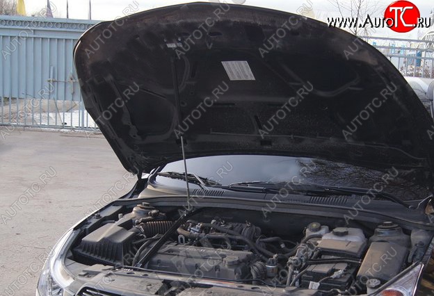 3 299 р. Газовый упор капота Tuning-Sport  Chevrolet Cruze ( J300,  J305) (2009-2015) седан дорестайлинг, хэтчбек дорестайлинг, седан рестайлинг, хэтчбек рестайлинг  с доставкой в г. Керчь