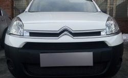 2 759 р. Сетка на бампер (рестайлинг) Russtal (черная) CITROEN Berlingo B9 дорестайлинг (2008-2016)  с доставкой в г. Керчь. Увеличить фотографию 3