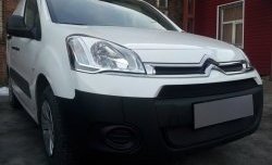 2 759 р. Сетка на бампер (рестайлинг) Russtal (черная) CITROEN Berlingo B9 дорестайлинг (2008-2016)  с доставкой в г. Керчь. Увеличить фотографию 4