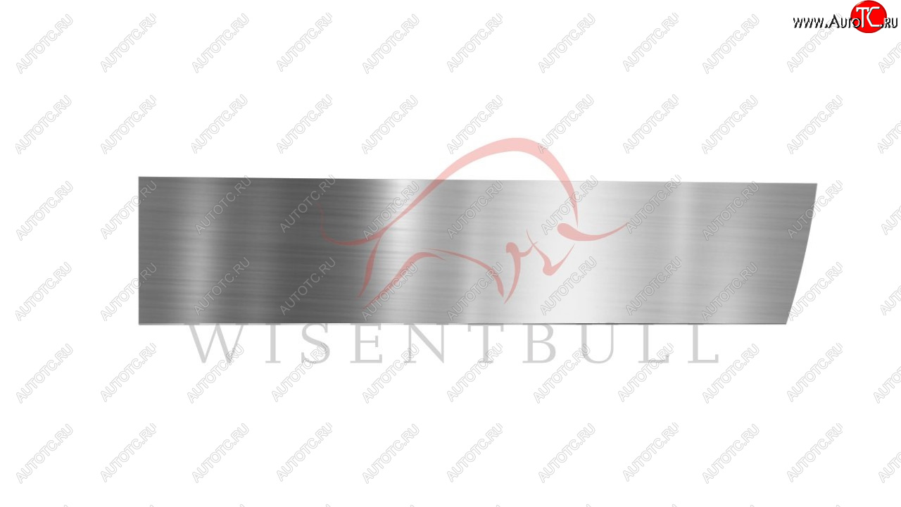 1 989 р. Ремкомплект правой двери Wisentbull  CITROEN C3  FC/FN (2002-2009) хэтчбэк  с доставкой в г. Керчь