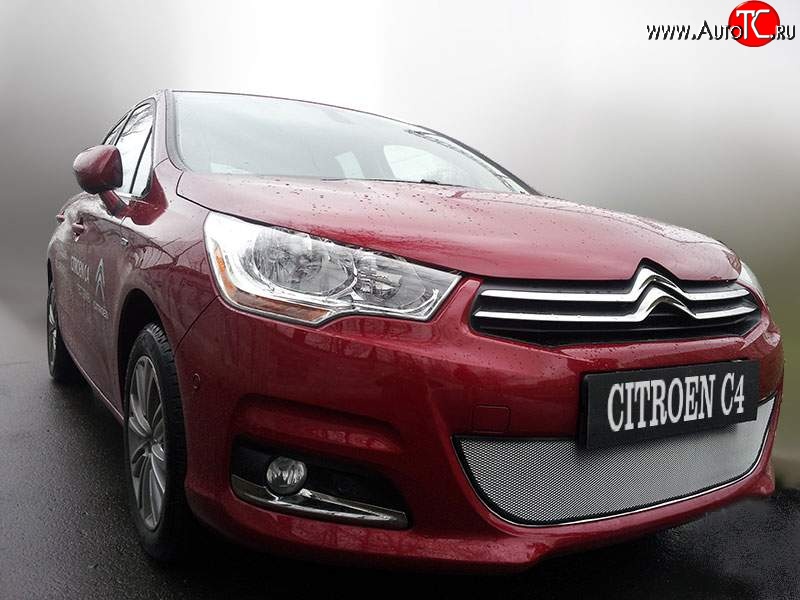 2 079 р. Сетка на бампер внешняя Autofamily , 10 мм CITROEN C4 B7 хэтчбэк 5 дв. (2011-2018) (Хром)  с доставкой в г. Керчь