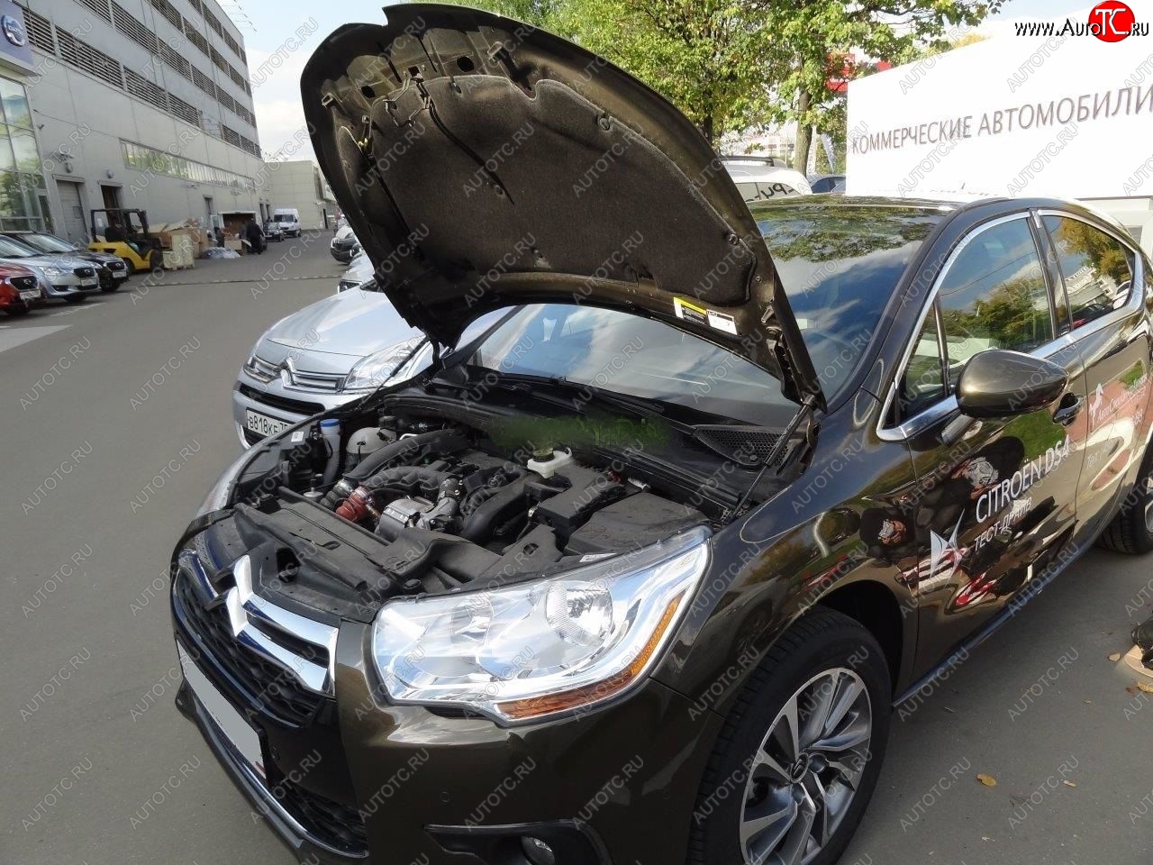 1 949 р. Упоры капота Russtal CITROEN DS4 PF1 дорестайлинг,хэтчбэк 5дв. (2010-2015)  с доставкой в г. Керчь