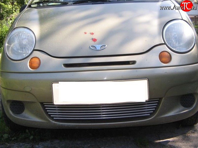 4 099 р. Декоративная вставка воздухозаборника (рестайлинг) Berkut Daewoo Matiz M150 рестайлинг (2000-2016)  с доставкой в г. Керчь