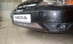 1 389 р. Сетка на бампер Russtal (хром) Daewoo Nexia рестайлинг (2008-2015)  с доставкой в г. Керчь. Увеличить фотографию 11