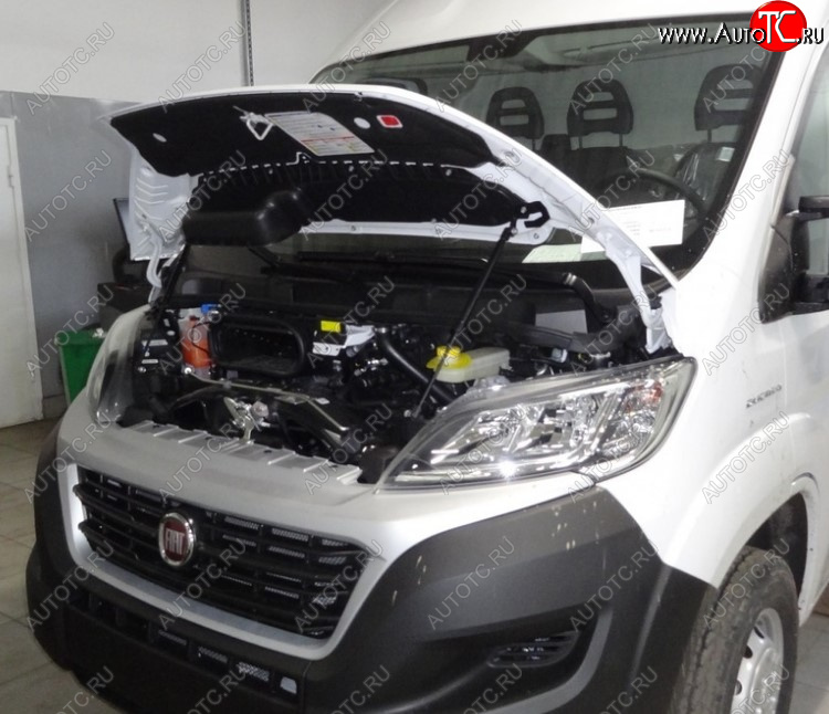 3 999 р. Амортизаторы капота Autofamily Fiat Ducato 290 (2014-2025)  с доставкой в г. Керчь