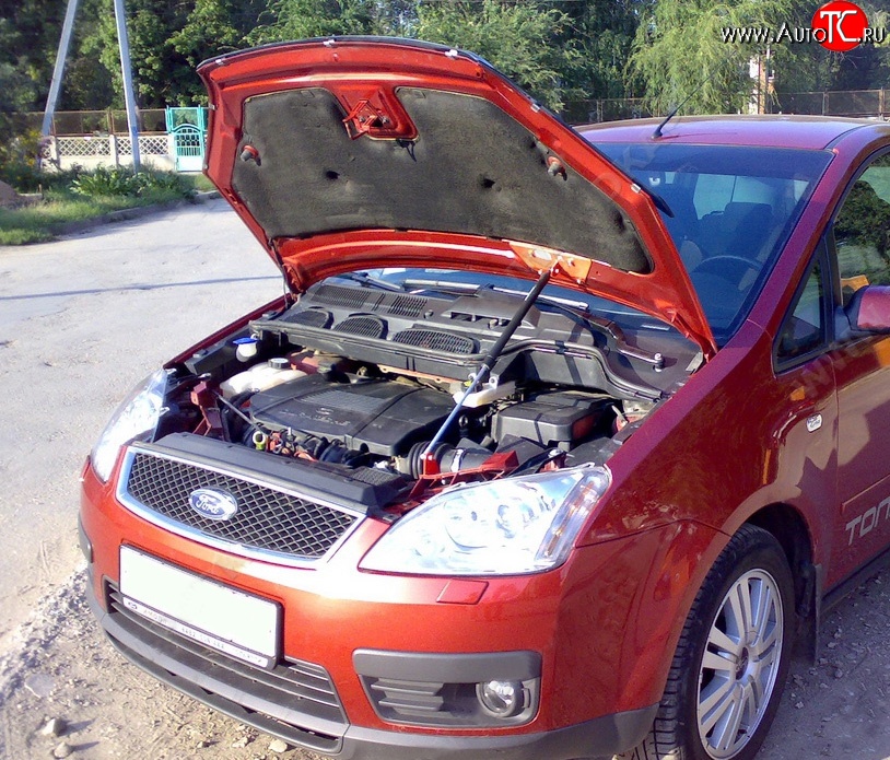 2 969 р. Упор капота Sport  Ford C-max  Mk1 (2007-2010) рестайлинг  с доставкой в г. Керчь