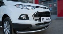15 649 р. Одинарная защита переднего бампера диаметром 63 мм SLITKOFF  Ford EcoSport (2013-2019) дорестайлинг  с доставкой в г. Керчь. Увеличить фотографию 2