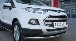13 749 р. Защита переднего бампера (Ø75х42 мм, нержавейка) Russtal Ford EcoSport дорестайлинг (2013-2019)  с доставкой в г. Керчь. Увеличить фотографию 2