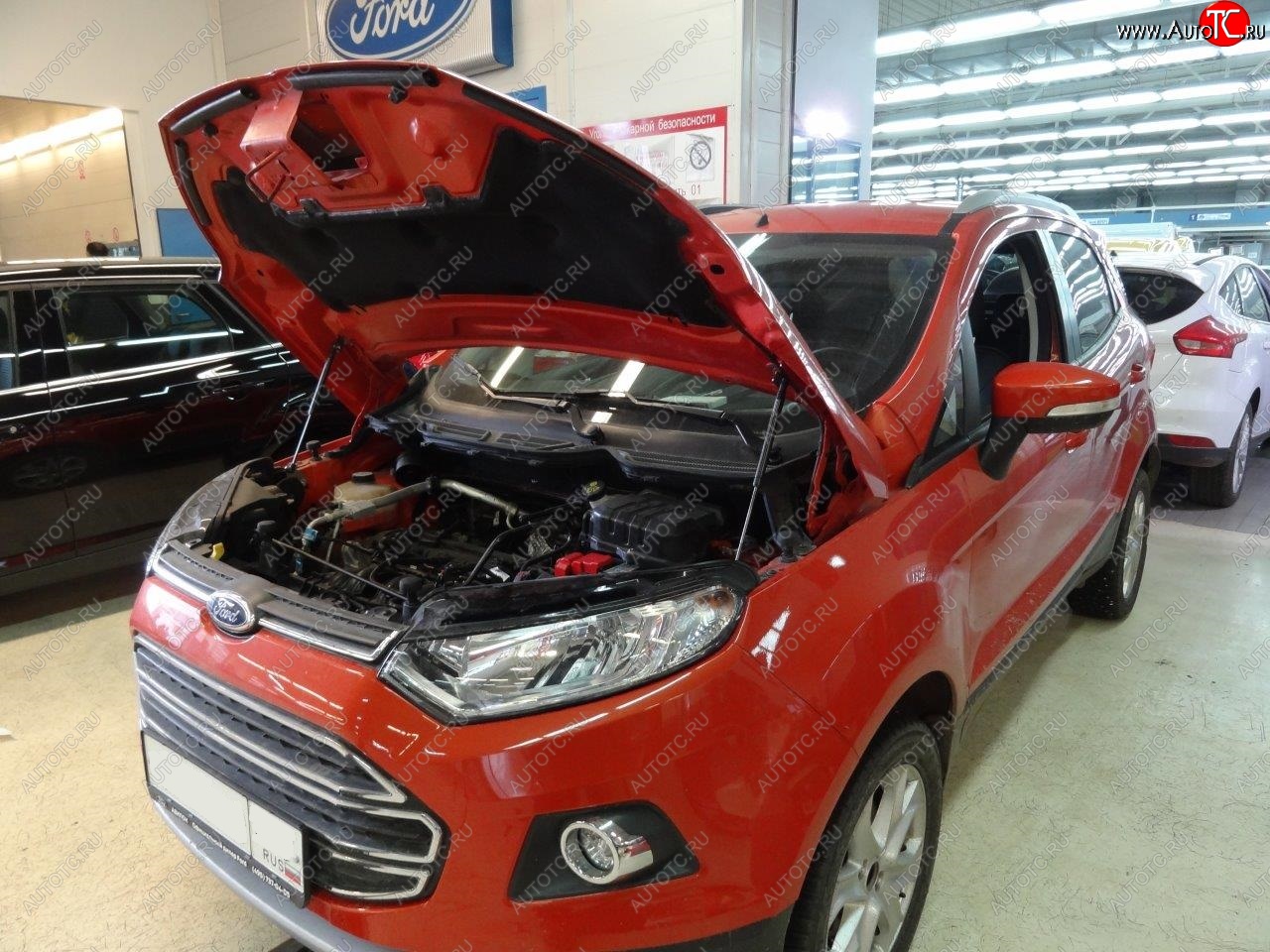 2 299 р. Упоры капота Russtal Ford EcoSport дорестайлинг (2013-2019)  с доставкой в г. Керчь