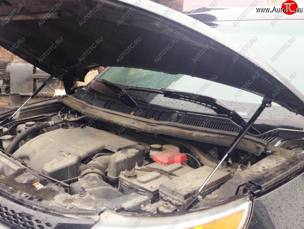 2 199 р. Газовые упоры капота Berkut Ford Explorer U502 дорестайлинг (2010-2016)  с доставкой в г. Керчь
