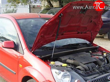 2 969 р. Упор капота Sport Ford Fiesta 5 хэтчбэк 5 дв. рестайлинг (2005-2008) (с кронштейном)  с доставкой в г. Керчь