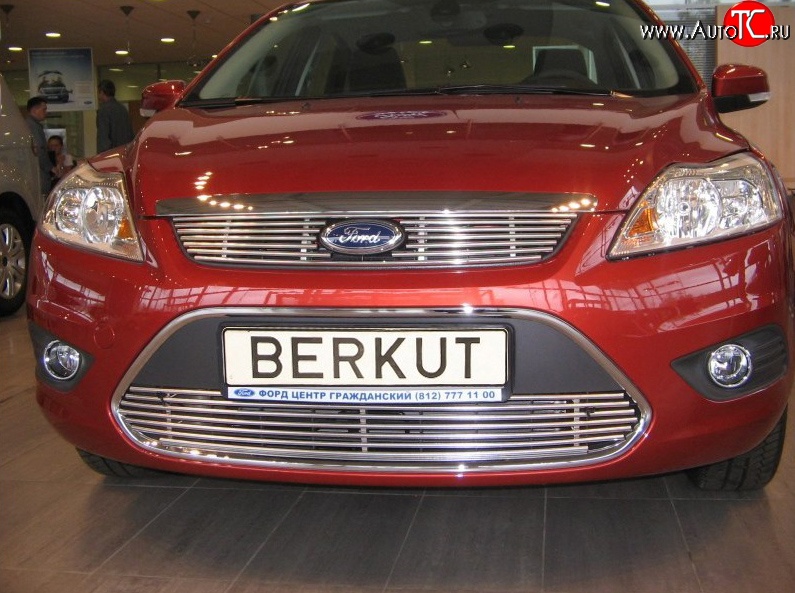 4 999 р. Декоративная вставка решетки радиатора Berkut Ford Focus 2 хэтчбэк 3 дв. рестайлинг (2007-2011)  с доставкой в г. Керчь