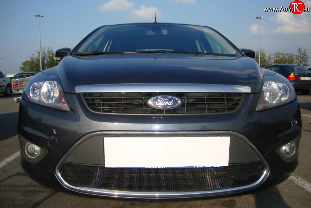 1 399 р. Сетка на бампер Russtal (черная) Ford Focus 2 хэтчбэк 3 дв. рестайлинг (2007-2011)  с доставкой в г. Керчь
