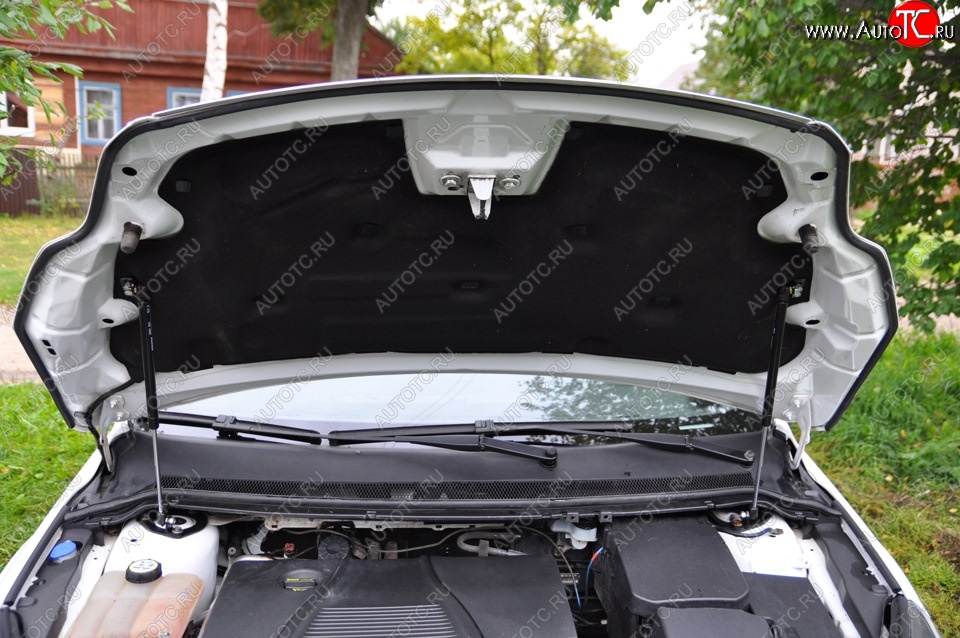 2 199 р. Газовые упоры капота Berkut Ford Focus 2 универсал рестайлинг (2007-2011)  с доставкой в г. Керчь
