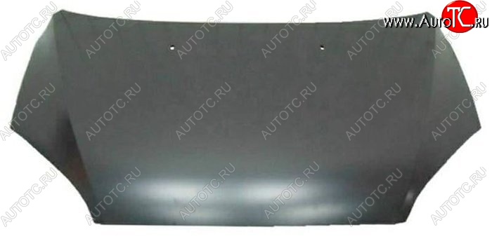 15 899 р. Капот SAT (Тайвань)  Ford Focus  2 (2004-2008)  седан дорестайлинг, универсал дорестайлинг, хэтчбэк 3 дв. дорестайлинг, хэтчбэк 5 дв. дорестайлинг (Неокрашенный)  с доставкой в г. Керчь