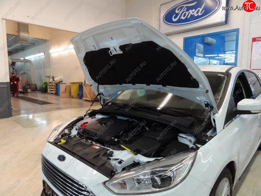 2 199 р. Газовые упоры капота Berkut Ford Focus 3 хэтчбэк дорестайлинг (2010-2015)  с доставкой в г. Керчь