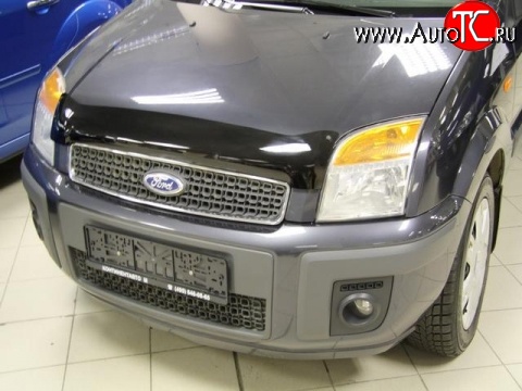 2 599 р. Дефлектор капота NovLine . Ford Fusion 1 хэтчбэк дорестайлинг (2002-2005)  с доставкой в г. Керчь