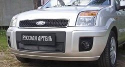 1 899 р. Защитная сетка решетки переднего бампера РА  Ford Fusion  1 (2005-2012)  рестайлинг, хэтчбэк  с доставкой в г. Керчь. Увеличить фотографию 3