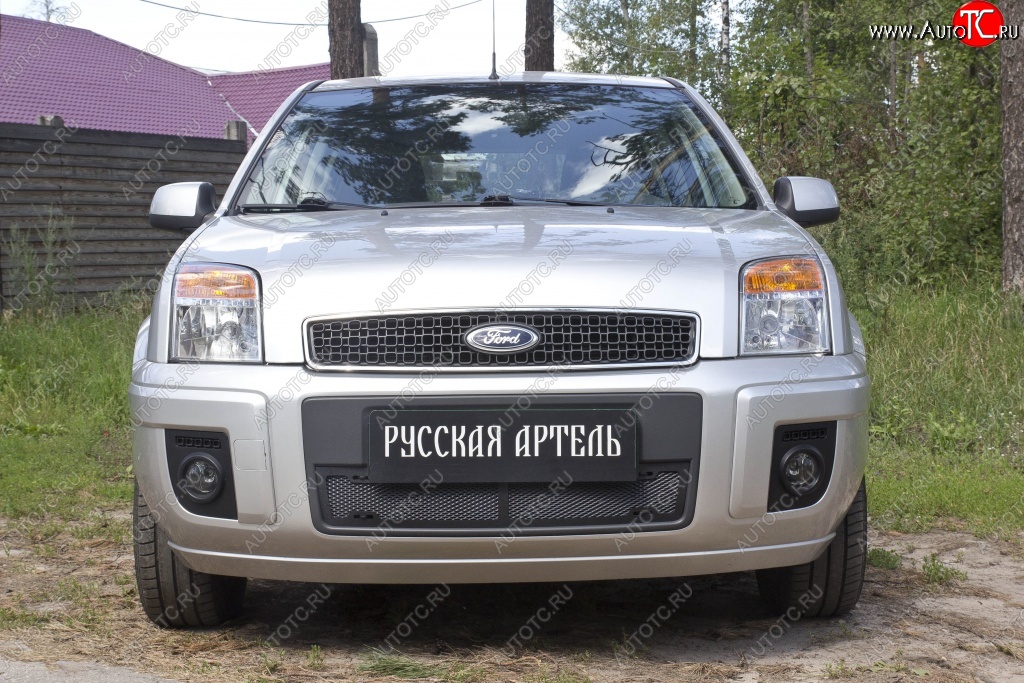 1 899 р. Защитная сетка решетки переднего бампера РА  Ford Fusion  1 (2005-2012)  рестайлинг, хэтчбэк  с доставкой в г. Керчь