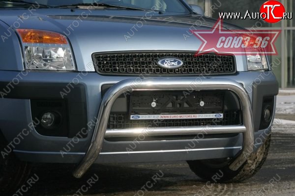 10 979 р. Защита переднего бампера Souz-96 (d60) Ford Fusion 1  рестайлинг, хэтчбэк (2005-2012)  с доставкой в г. Керчь