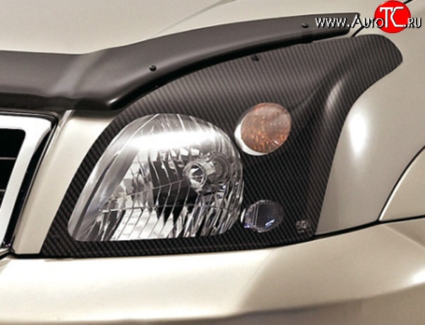 1 268 р. Карбоновая защита передних фар Novline Ford Fusion 1 хэтчбэк дорестайлинг (2002-2005)  с доставкой в г. Керчь