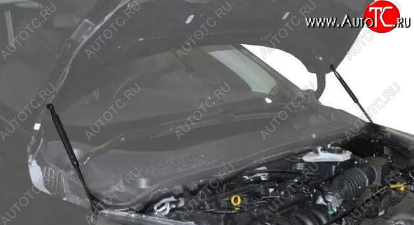2 199 р. Газовые упоры капота Berkut Ford Kuga 2 рестайлинг (2016-2019)  с доставкой в г. Керчь