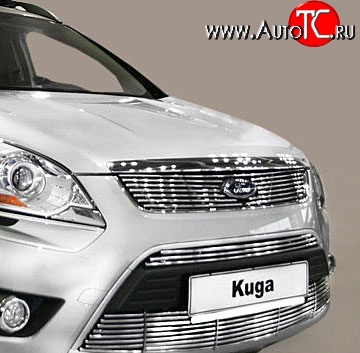 5 799 р. Декоративная вставка решетки радиатора Berkut Ford Kuga 1 (2008-2013)  с доставкой в г. Керчь