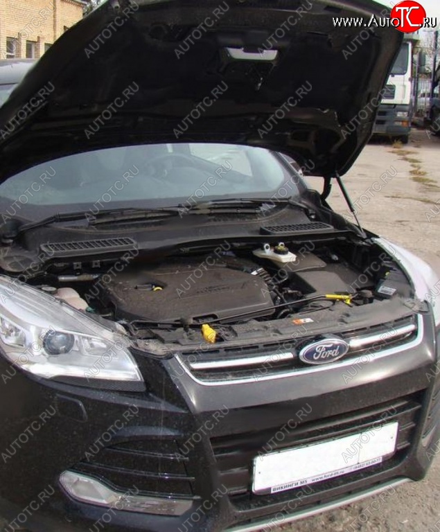 2 199 р. Газовые упоры капота Berkut Ford Kuga 2 дорестайлинг (2013-2016)  с доставкой в г. Керчь