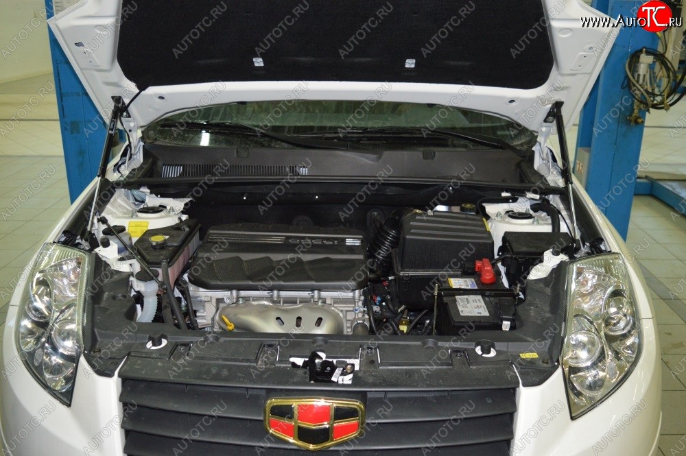 2 199 р. Газовые упоры капота Berkut Geely Emgrand X7 дорестайлинг (2011-2015)  с доставкой в г. Керчь