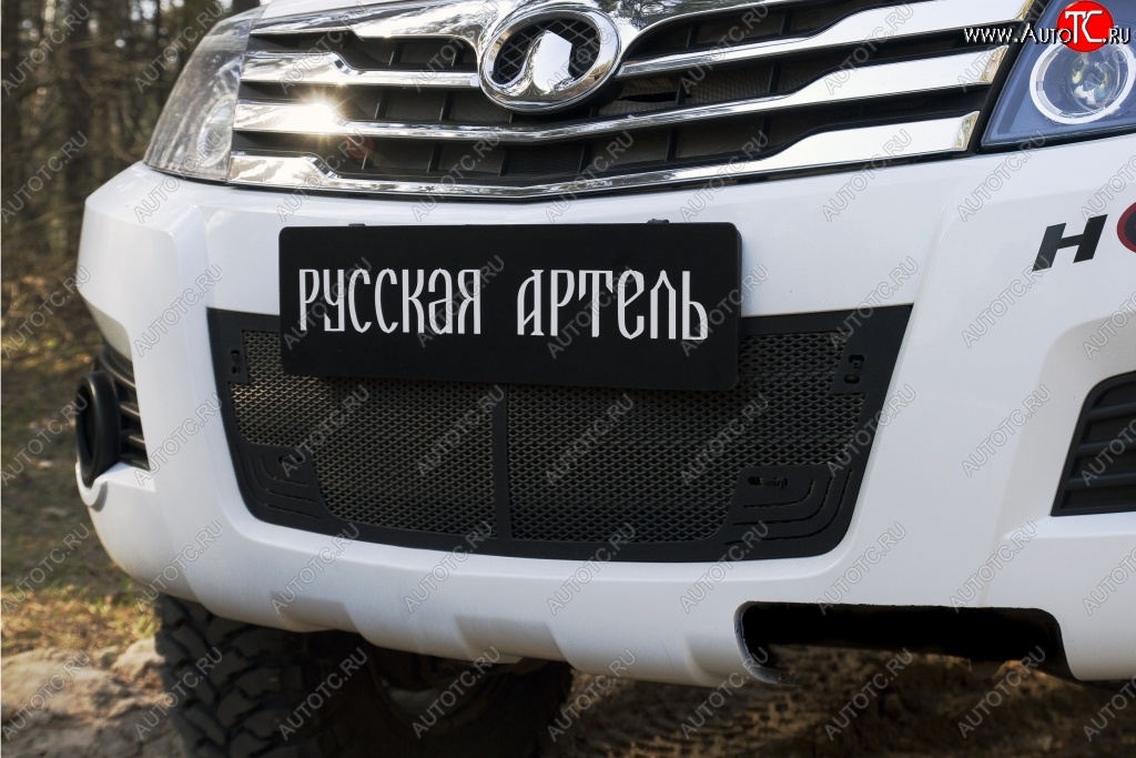 2 349 р. Защитная сетка решетки переднего бампера РА  Great Wall Hover H3 (2010-2014)  дорестайлинг  с доставкой в г. Керчь