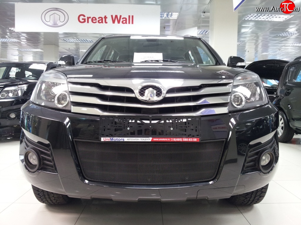 1 469 р. Сетка на бампер Russtal (черная) Great Wall Hover H3  дорестайлинг (2010-2014)  с доставкой в г. Керчь