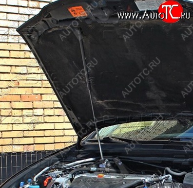 2 969 р. Газовый упор капота Tuning-Sport Honda Accord 7 CL седан дорестайлинг (2002-2005)  с доставкой в г. Керчь