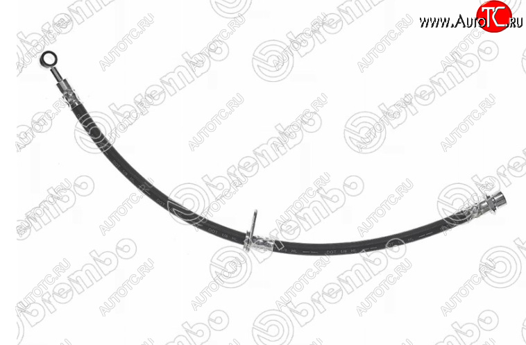 1 699 р. Правый передний тормозной шланг BREMBO Honda Accord 7 CL седан дорестайлинг (2002-2005)  с доставкой в г. Керчь