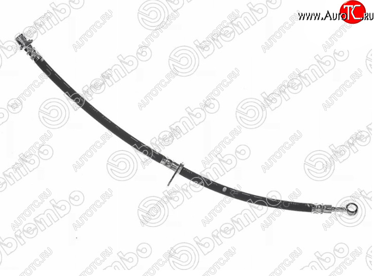 1 699 р. Левый передний тормозной шланг BREMBO Honda Accord 7 CL седан дорестайлинг (2002-2005)  с доставкой в г. Керчь
